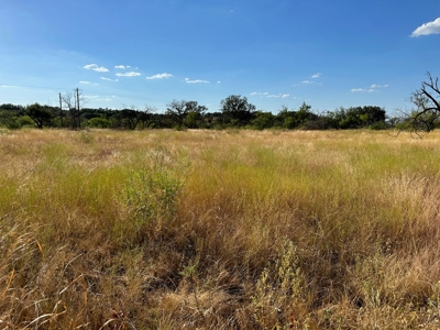 Home Lot 782 in King's Point Cove Resort Lake Brownwood, TX - image 10