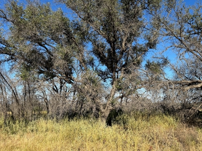 Home Lot 782 in King's Point Cove Resort Lake Brownwood, TX - image 9