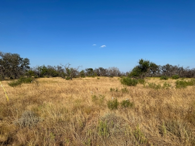 Home Lot 782 in King's Point Cove Resort Lake Brownwood, TX - image 3