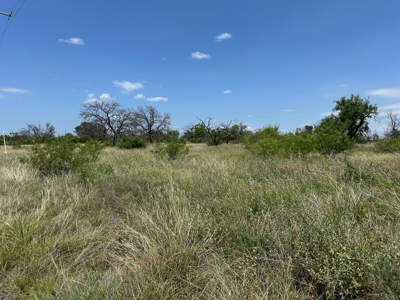 Home Lot 782 in King's Point Cove Resort Lake Brownwood, TX - image 47
