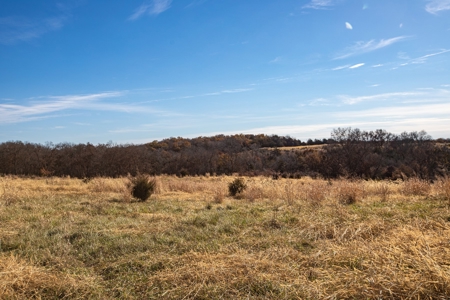 180 Acre Decatur County Iowa Whitetail Mecca - image 35