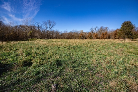 180 Acre Decatur County Iowa Whitetail Mecca - image 38