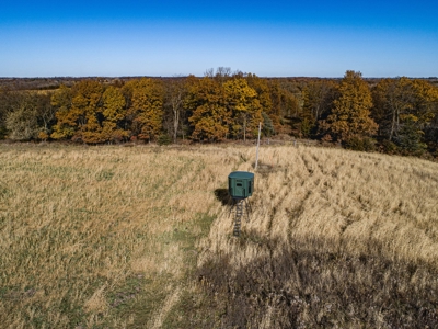 180 Acre Decatur County Iowa Whitetail Mecca - image 14