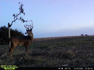 180 Acre Decatur County Iowa Whitetail Mecca - image 45