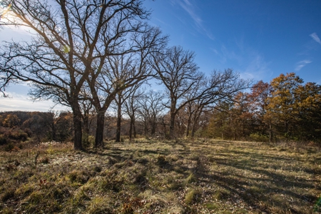 180 Acre Decatur County Iowa Whitetail Mecca - image 25