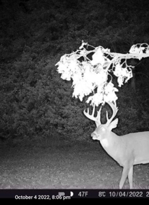 180 Acre Decatur County Iowa Whitetail Mecca - image 44