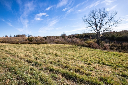 180 Acre Decatur County Iowa Whitetail Mecca - image 27