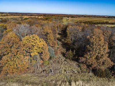 180 Acre Decatur County Iowa Whitetail Mecca - image 15