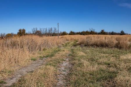 180 Acre Decatur County Iowa Whitetail Mecca - image 34