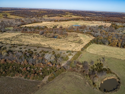 180 Acre Decatur County Iowa Whitetail Mecca - image 9