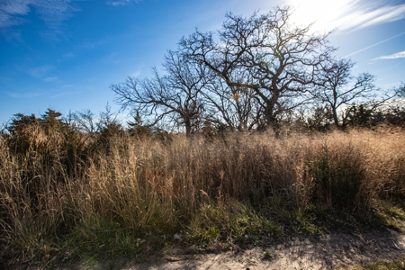 180 Acre Decatur County Iowa Whitetail Mecca - image 36