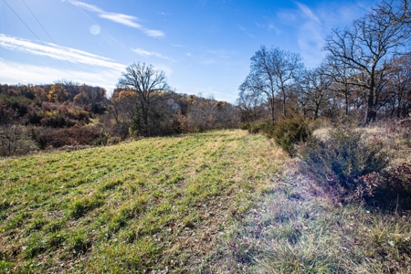 180 Acre Decatur County Iowa Whitetail Mecca - image 26