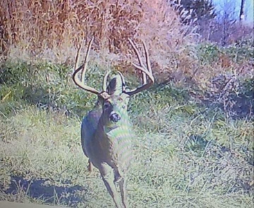 180 Acre Decatur County Iowa Whitetail Mecca - image 46