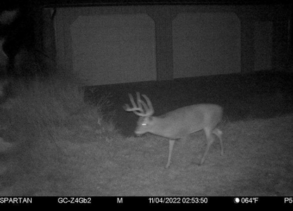180 Acre Decatur County Iowa Whitetail Mecca - image 47