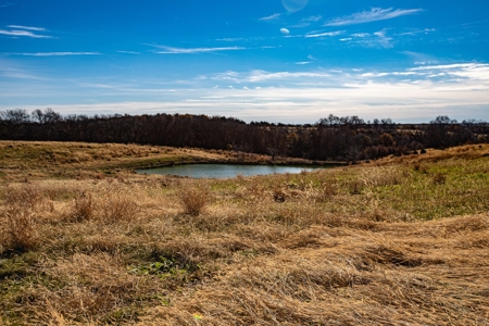 180 Acre Decatur County Iowa Whitetail Mecca - image 33