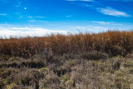 180 Acre Decatur County Iowa Whitetail Mecca - image 31