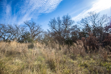180 Acre Decatur County Iowa Whitetail Mecca - image 37