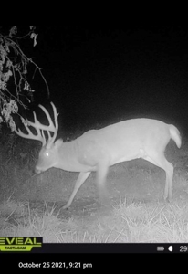 180 Acre Decatur County Iowa Whitetail Mecca - image 43