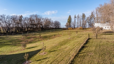 Great Family Acreage Close to Harlan, IA in Shelby County,IA - image 39