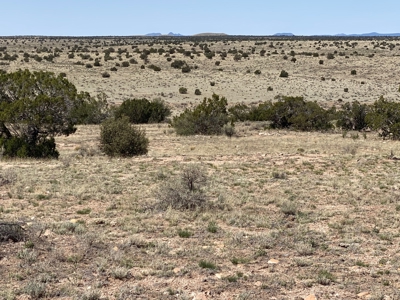 36 Acres North of Williams AZ for sale - image 4