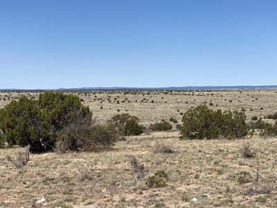 36 Acres North of Williams AZ for sale - image 5