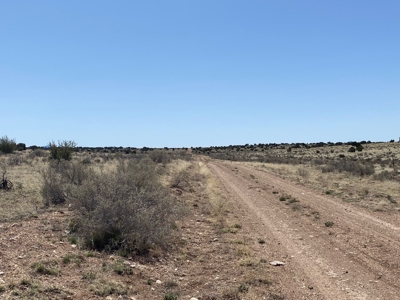36 Acres North of Williams AZ for sale - image 3