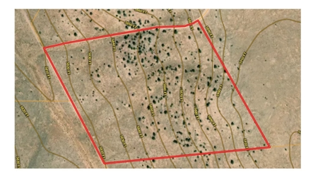 36 Acres North of Williams AZ for sale - image 7