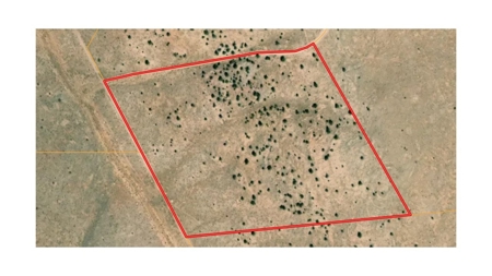 36 Acres North of Williams AZ for sale - image 8