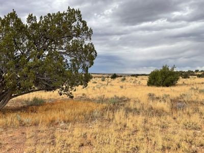 36 Acres North of Williams AZ for sale - image 1