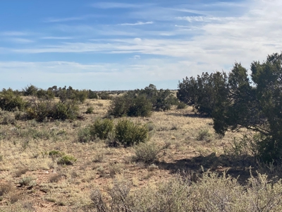 36 Acres North of Williams AZ for sale - image 6