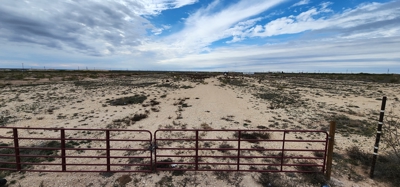 Reagan County Commercial Land - For Sale