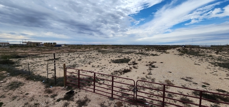 Reagan County Commercial Land - For Sale - image 4