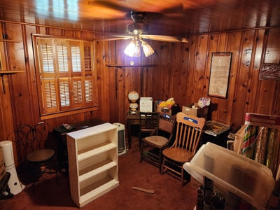 3 Bed, 2 Bath Home in Town, Walk-In Garage and Basement - image 19