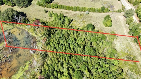 East Texas Rural Lot for Sale Near Winona Smith County Lot 3 - image 1