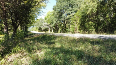 East Texas Rural Lot for Sale Near Winona Smith County Lot 3 - image 13