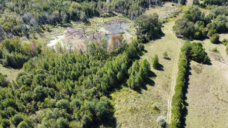 East Texas Rural Lot for Sale Near Winona Smith County Lot 3 - image 5