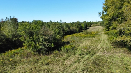 East Texas Rural Lot for Sale Near Winona Smith County Lot 3 - image 10