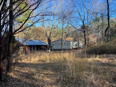 House and 10 Acres for sale Rupert Arkansas - image 1