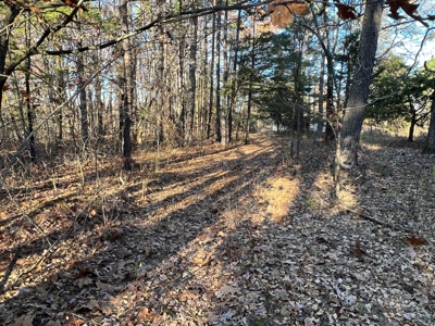 House and 10 Acres for sale Rupert Arkansas - image 17