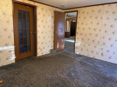 House and 10 Acres for sale Rupert Arkansas - image 22