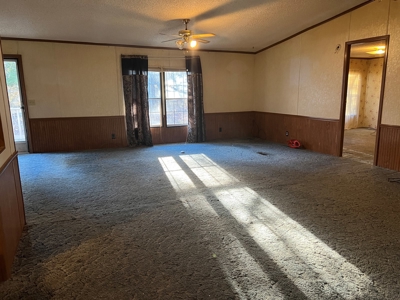 House and 10 Acres for sale Rupert Arkansas - image 25