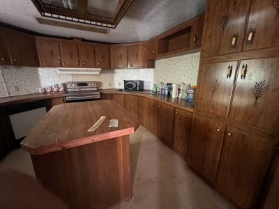 House and 10 Acres for sale Rupert Arkansas - image 3