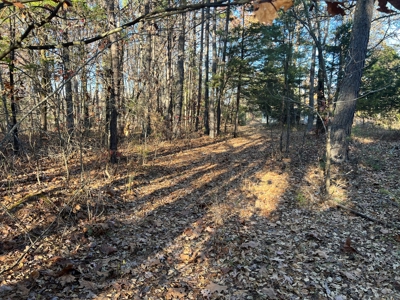 House and 10 Acres for sale Rupert Arkansas - image 18