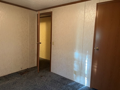 House and 10 Acres for sale Rupert Arkansas - image 35