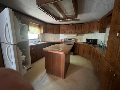 House and 10 Acres for sale Rupert Arkansas - image 2