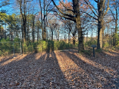 House and 10 Acres for sale Rupert Arkansas - image 48