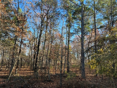 House and 10 Acres for sale Rupert Arkansas - image 10