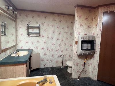House and 10 Acres for sale Rupert Arkansas - image 6