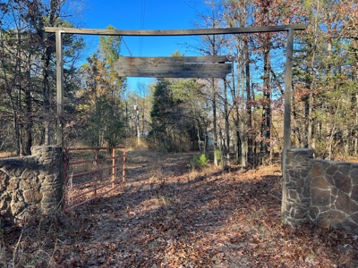 House and 10 Acres for sale Rupert Arkansas - image 49