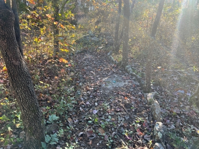 House and 10 Acres for sale Rupert Arkansas - image 11